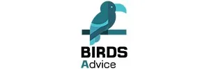 Birds Client